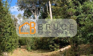 Agrícola en Venta en Sector Huallihuape, cerca del Parque Nacional Alerce Costero, comuna La Unión