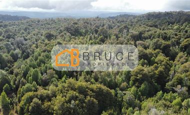 Agrícola en Venta en Sector Huallihuape, cerca del Parque Nacional Alerce Costero, comuna La Unión