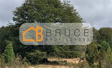 Agrícola en Venta en Sector Huallihuape, cerca del Parque Nacional Alerce Costero, comuna La Unión
