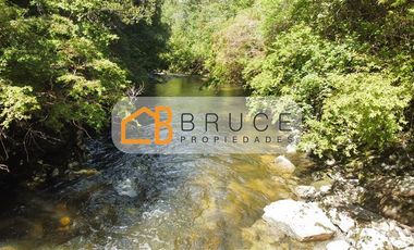 Agrícola en Venta en Sector Huallihuape, cerca del Parque Nacional Alerce Costero, comuna La Unión