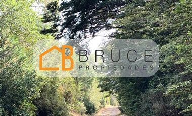 Agrícola en Venta en Sector Huallihuape, cerca del Parque Nacional Alerce Costero, comuna La Unión