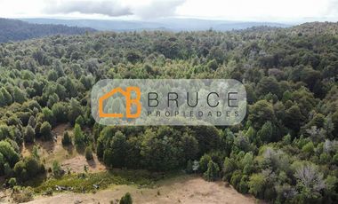 Agrícola en Venta en Sector Huallihuape, cerca del Parque Nacional Alerce Costero, comuna La Unión