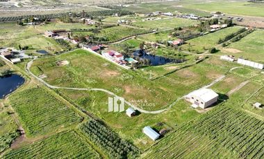 2.26HA CON 300 M2 DE BODEGA EN VALLE DE GUADALUPE