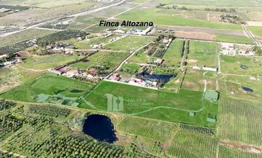 2.26HA CON 300 M2 DE BODEGA EN VALLE DE GUADALUPE