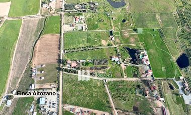 2.26HA CON 300 M2 DE BODEGA EN VALLE DE GUADALUPE