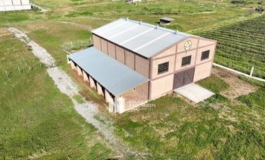 2.26HA CON 300 M2 DE BODEGA EN VALLE DE GUADALUPE