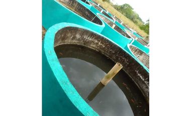 VENDO TERRENO PARA TILAPIA EN BUGABA