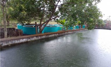 VENDO TERRENO PARA TILAPIA EN BUGABA