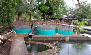 VENDO TERRENO PARA TILAPIA EN BUGABA