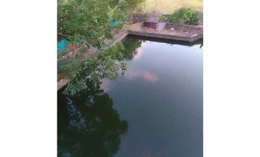 VENDO TERRENO PARA TILAPIA EN BUGABA