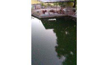 VENDO TERRENO PARA TILAPIA EN BUGABA