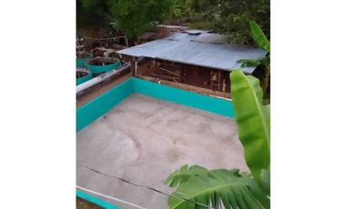 VENDO TERRENO PARA TILAPIA EN BUGABA