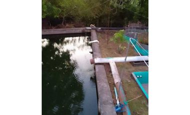 VENDO TERRENO PARA TILAPIA EN BUGABA