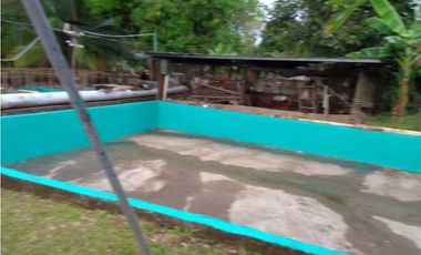 VENDO TERRENO PARA TILAPIA EN BUGABA