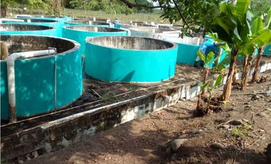 VENDO TERRENO PARA TILAPIA EN BUGABA