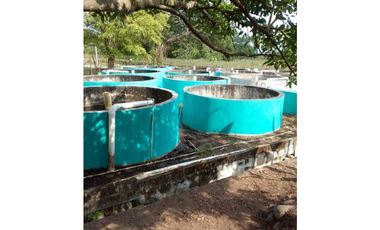 VENDO TERRENO PARA TILAPIA EN BUGABA