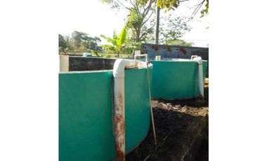 VENDO TERRENO PARA TILAPIA EN BUGABA