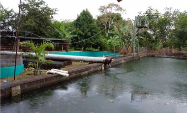 VENDO TERRENO PARA TILAPIA EN BUGABA