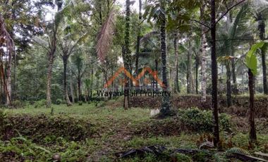 Tanah ITR Pariwisata Di Sidemen Karangasem Bali
