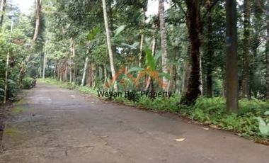 Tanah ITR Pariwisata Di Sidemen Karangasem Bali