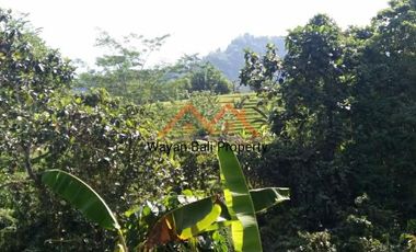 Tanah ITR Pariwisata Di Sidemen Karangasem Bali