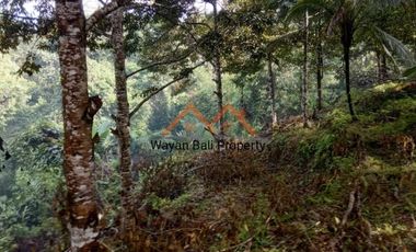 Tanah ITR Pariwisata Di Sidemen Karangasem Bali