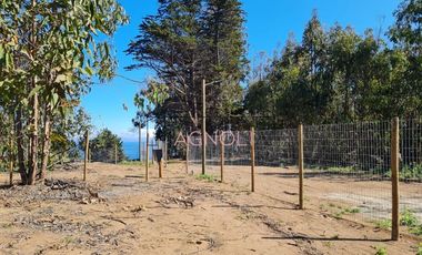 Lotes en venta en El Tebo