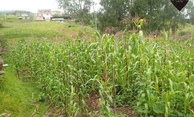 Terreno de venta en Sinincay – código:17331