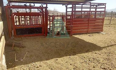 Venta de Rancho Ganadero rumbo a Coyame, Fergon