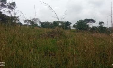 lote en venta en pance. Cod V9857