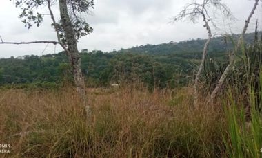 lote en venta en pance. Cod V9857