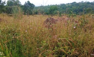 lote en venta en pance. Cod V9857