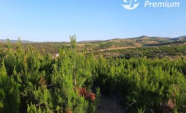 Vende amplia parcela en Paredones, descuento especial