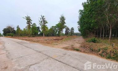 Land for sale in Chaen Laen, Kalasin