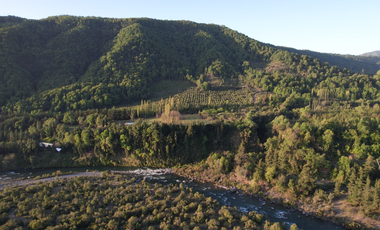Agrícola en Venta en rio longavi