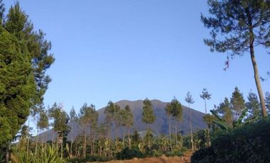 JUAL VILLA BARU DEKAT CIPANAS CIANJUR VIEW GUNUNG GEDE
