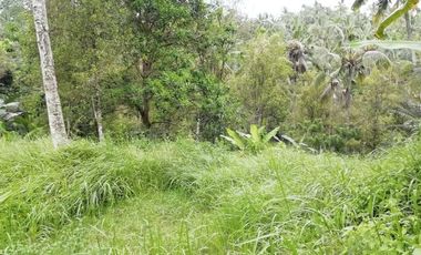 River view land in Selemadeg Tabanan near waterfall