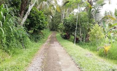 River view land in Selemadeg Tabanan near waterfall