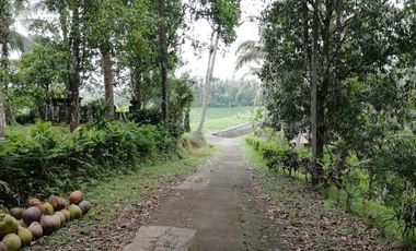 River view land in Selemadeg Tabanan near waterfall
