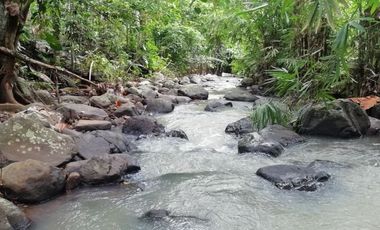 River view land in Selemadeg Tabanan near waterfall