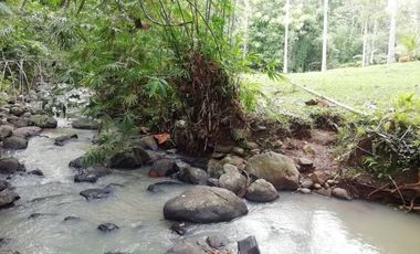 River view land in Selemadeg Tabanan near waterfall