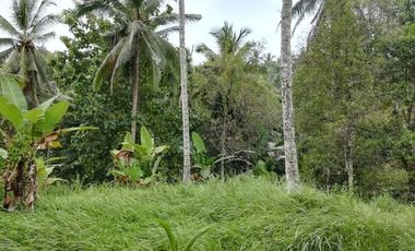 River view land in Selemadeg Tabanan near waterfall