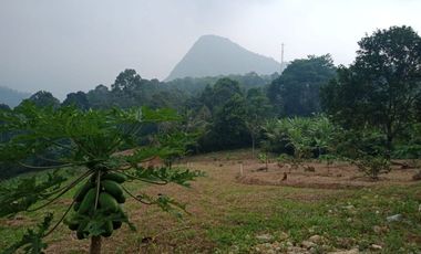 Tanah Murah 210 Juta