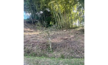 Venta Lote Santa Rosa de Cabal