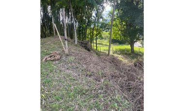 Venta Lote Santa Rosa de Cabal