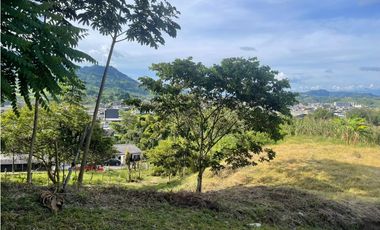 Venta Lote Santa Rosa de Cabal