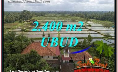 Tanah di Lingkungan Villa Ubud Bali Luas 24 are View Sawah