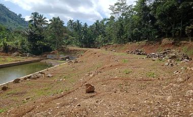 Tanah untuk Villa di Ciomas Bogor