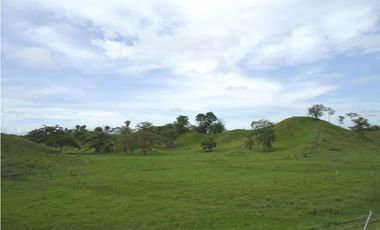 SE VENDE FINCA MUNICIPIO DE PUERTO BOYACA .