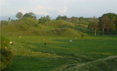 SE VENDE FINCA MUNICIPIO DE PUERTO BOYACA .